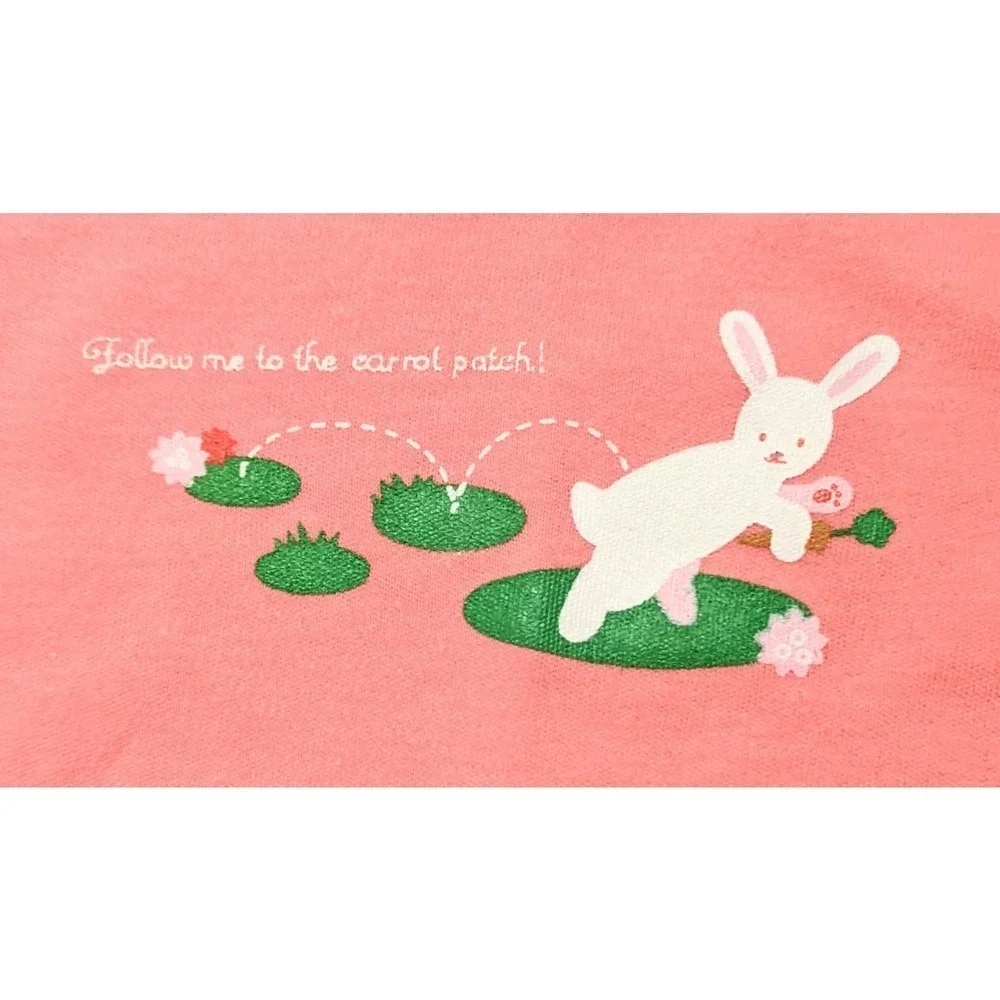 Babies Alley Infant Baby Girls 4 Piece Bunny Layette Set Size 0-6 Months New